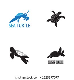 Turtle animal cartoon icon vector illustration