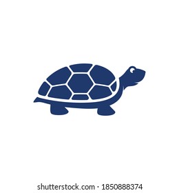 Turtle animal cartoon icon vector illustration