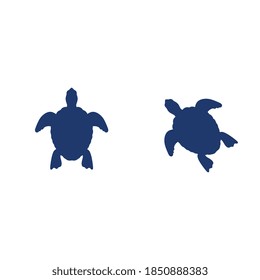 Turtle animal cartoon icon vector illustration