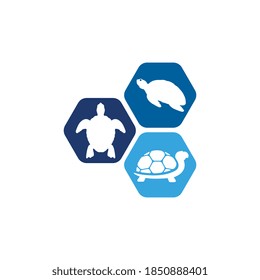 Turtle animal cartoon icon vector illustration