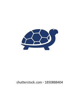 Turtle animal cartoon icon vector illustration