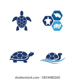 Turtle animal cartoon icon vector illustration