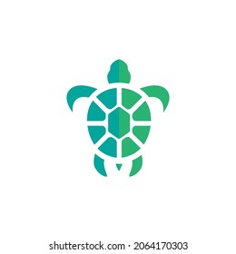 Turtle animal cartoon icon vector illustration