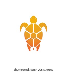 Turtle animal cartoon icon vector illustration