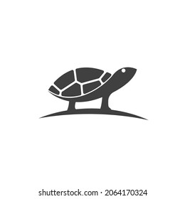 Turtle animal cartoon icon vector illustration