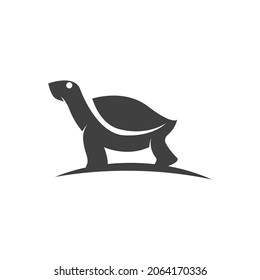 Turtle animal cartoon icon vector illustration