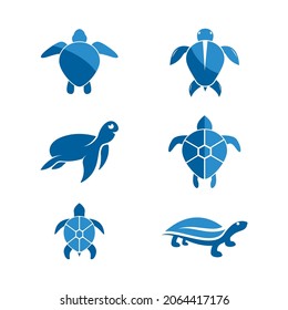 Turtle animal cartoon icon vector illustration