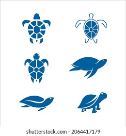 Turtle animal cartoon icon vector illustration