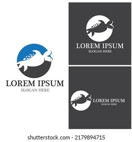 Turtle animal cartoon icon vector illustration