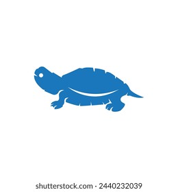 Turtle animal cartoon icon vector illustration