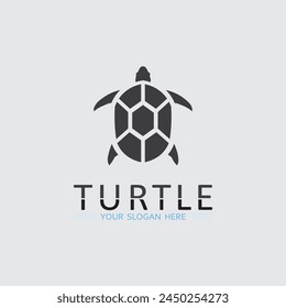 Turtle animal cartoon icon vector illustration