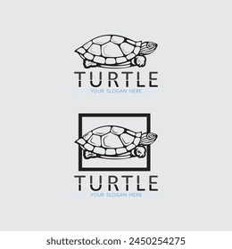 Turtle animal cartoon icon vector illustration