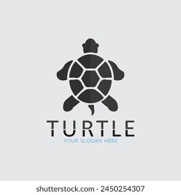 Turtle animal cartoon icon vector illustration