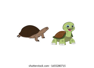 Ilustración de vectores de dibujos animados de tortuga