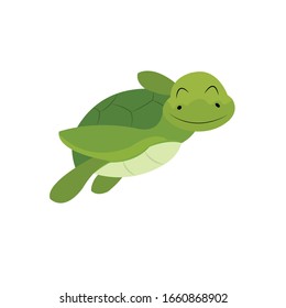 Turtle Animal Cartoon Vector Illustration 