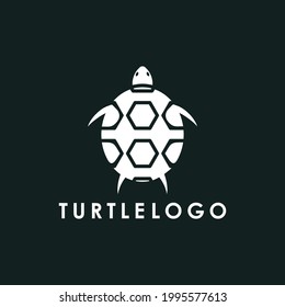 turtle animal  logo design template