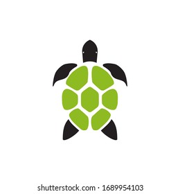 Turtle animal logo icon design vector template