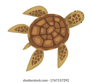 Turtle Animal, Marine Life Element, Sea or Ocean Creature Vector Illustration