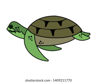 turtle animal nature icon vector illustration