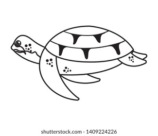 turtle animal nature icon vector illustration