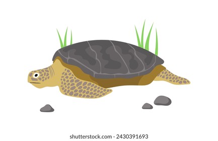 Turtle. Animal. Rare. An endangered species. Vector flat illustration isolated