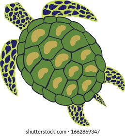 turtle , animal , vector illustration isolated on white background. Concept for logo, icon, print 