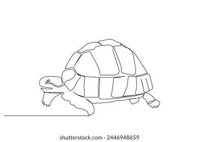 turtle animal walking life one line art design vector
