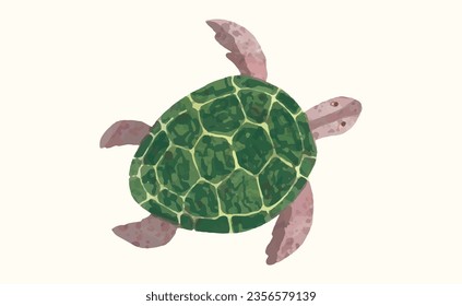 Turtle, Animal wildlife watercolor vector illustration.