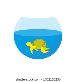 Turtle in aquarium isolated on white background.