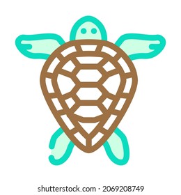 turtle aquatic animal color icon vector. turtle aquatic animal sign. isolated symbol illustration