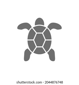 Turtle, aquatic animal grey icon. Isolated on white background