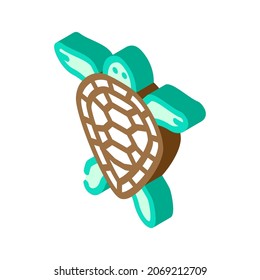 turtle aquatic animal isometric icon vector. turtle aquatic animal sign. isolated symbol illustration
