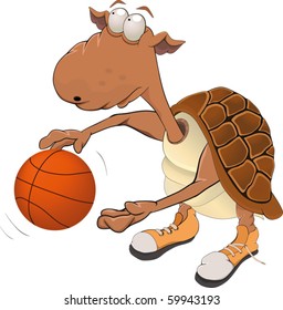 Turtle the basketball player