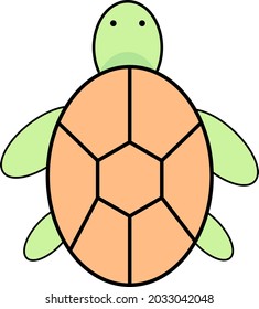 Turtle with beautiful colors professionally on a white background