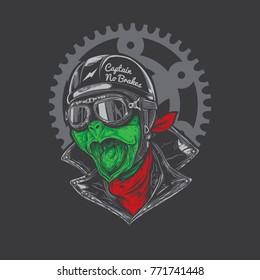 Turtle biker wearing google and helmet.