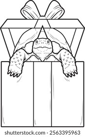 Turtle Birthday Package Animal Vector Graphic Art Illustration
