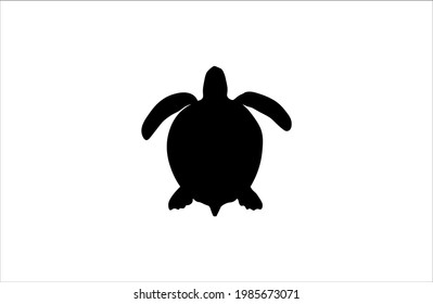Turtle black background white nature reptile