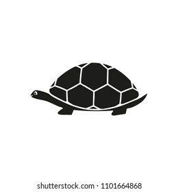 Turtle of black icon