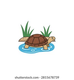 Turtle with brown shell in water