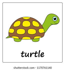  turtle -  сartoon card, worksheet for children. Education game for kids. flashcards for learning English.