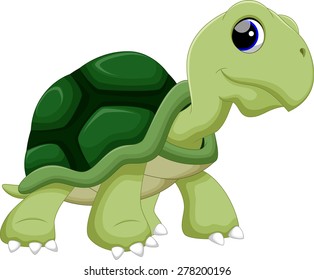 Turtle cartoon