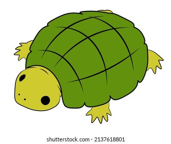 Turtle cartoon animal isolated illustration