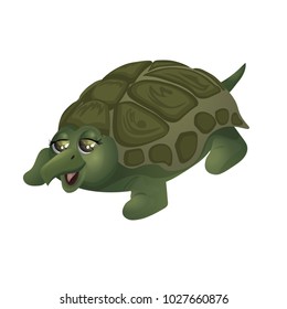 Turtle, cartoon character