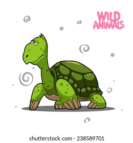 turtle cartoon isolated on white
