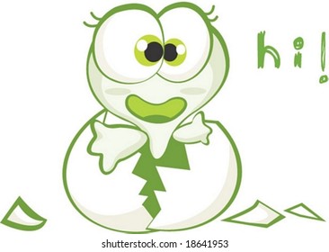 Turtle Character