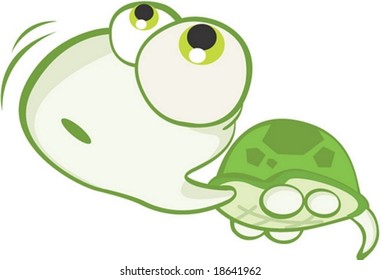 Turtle Character