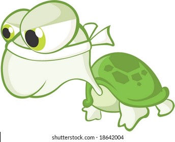 Turtle Character