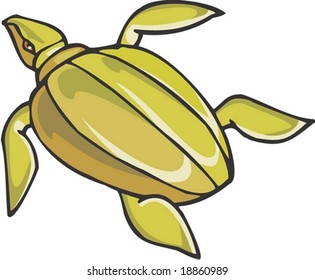 Turtle Character