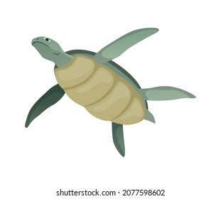 Turtle character. Green sea or ocean tortoise swimming. Wildlife animal in shell. Flat vector illustration isolated on white background