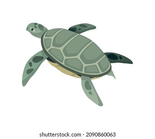 Turtle character. Green sea or ocean tortoise swimming. Wildlife animal in shell. Flat vector illustration isolated on white background